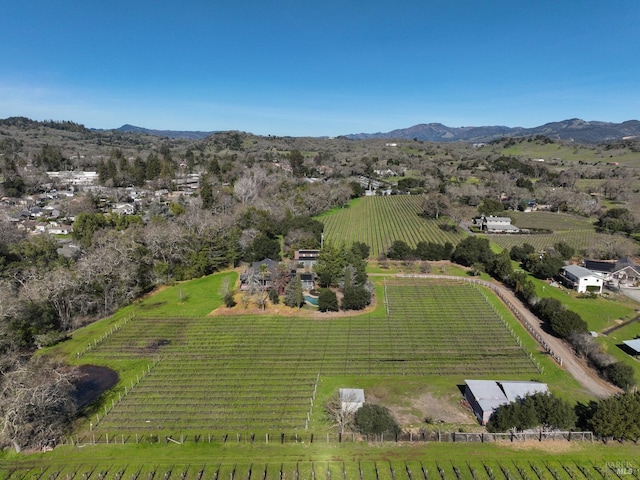 aerial view with a mountain view and a rural view