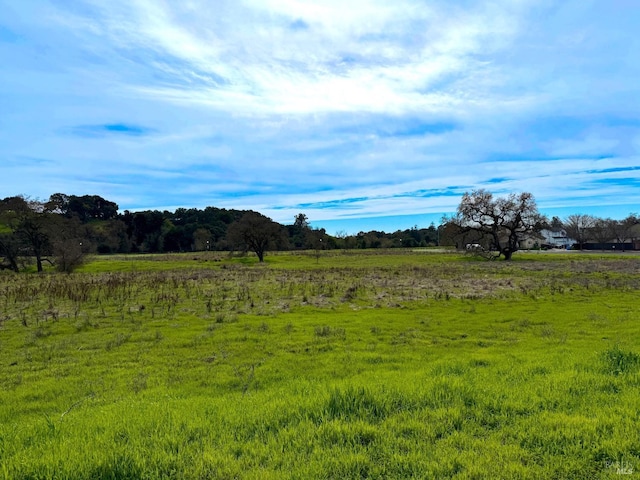 view of nature with a rural view