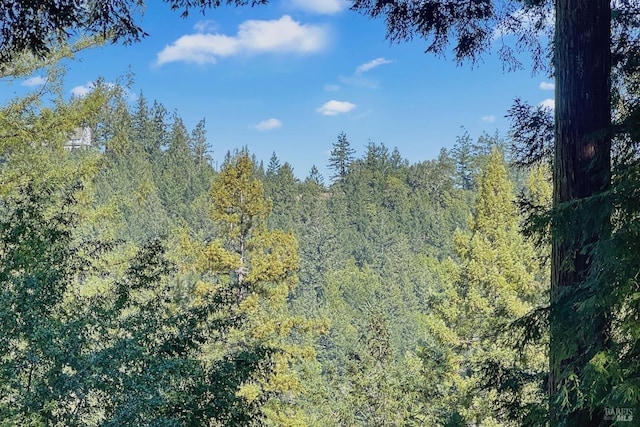 view of nature featuring a forest view