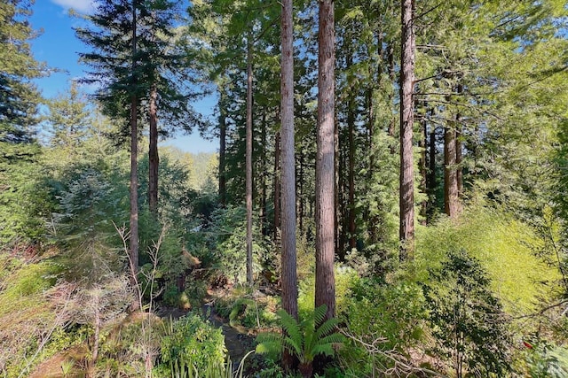 view of nature with a forest view