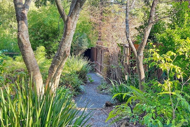 view of nature with a wooded view