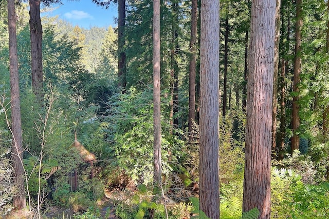 view of landscape featuring a wooded view