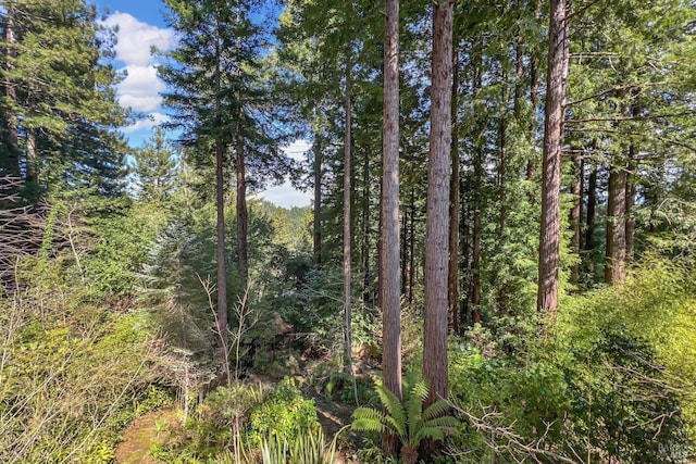 view of nature with a view of trees