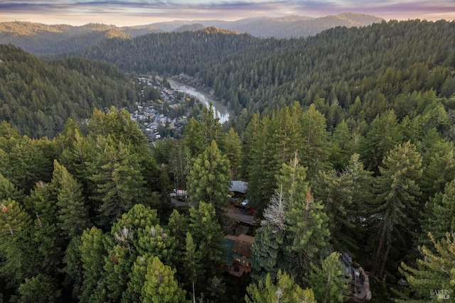 drone / aerial view featuring a mountain view and a view of trees