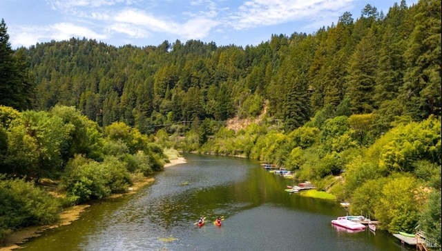 aerial view featuring a forest view and a water view