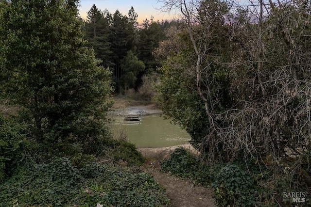 aerial view at dusk featuring a wooded view