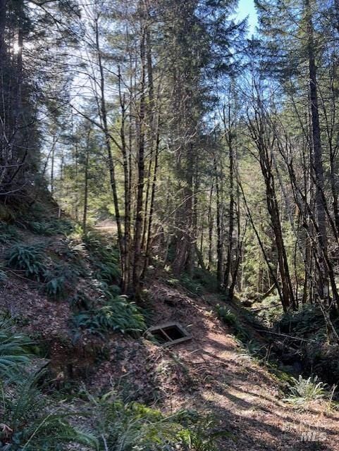 1 Hwy 199, Crescent City CA, 95538 land for sale