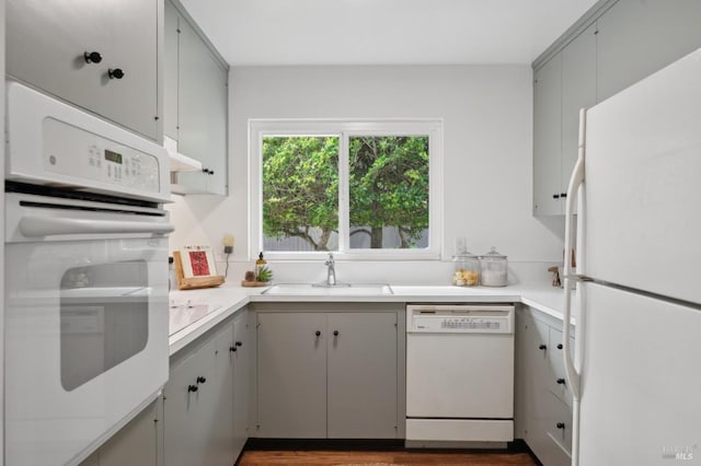 kitchen featuring white appliances, wood finished floors, a sink, light countertops, and gray cabinets