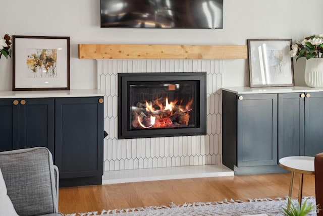 room details with a glass covered fireplace and wood finished floors