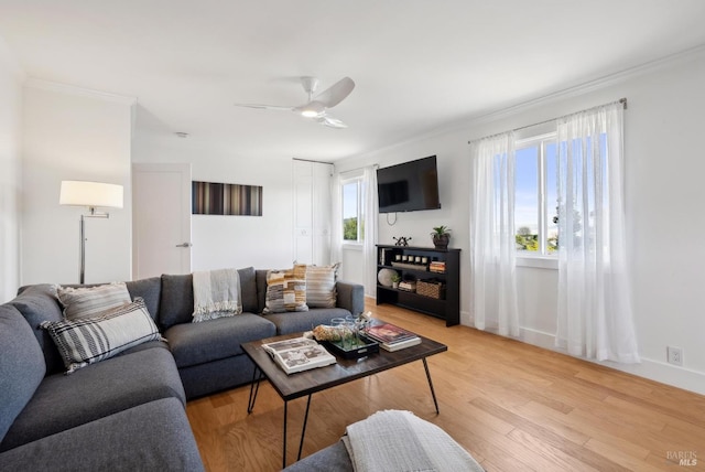 living room with ornamental molding, light wood-type flooring, and a ceiling fan