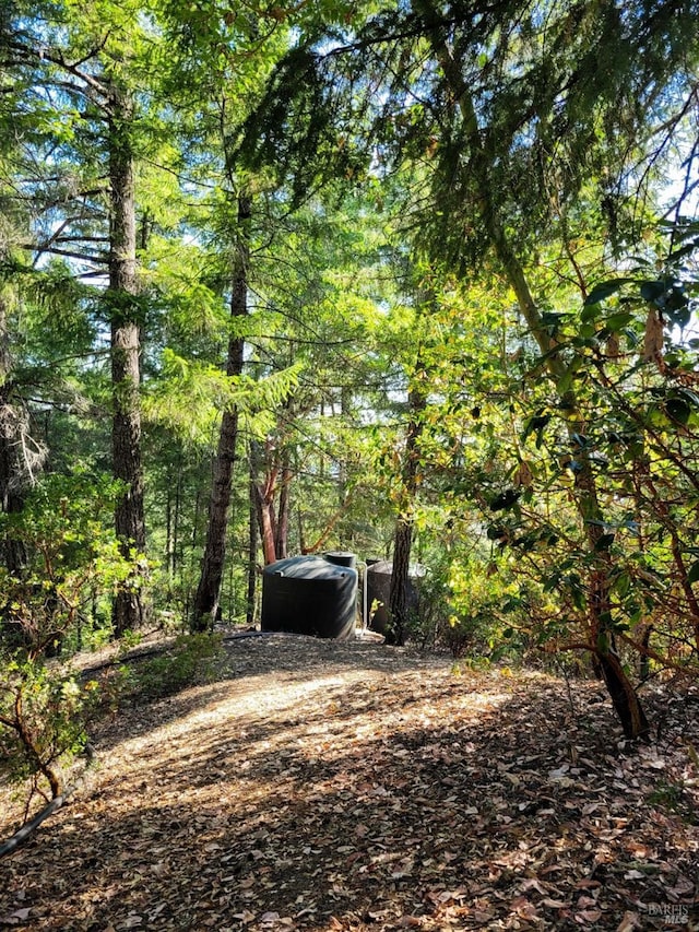 view of yard with a forest view