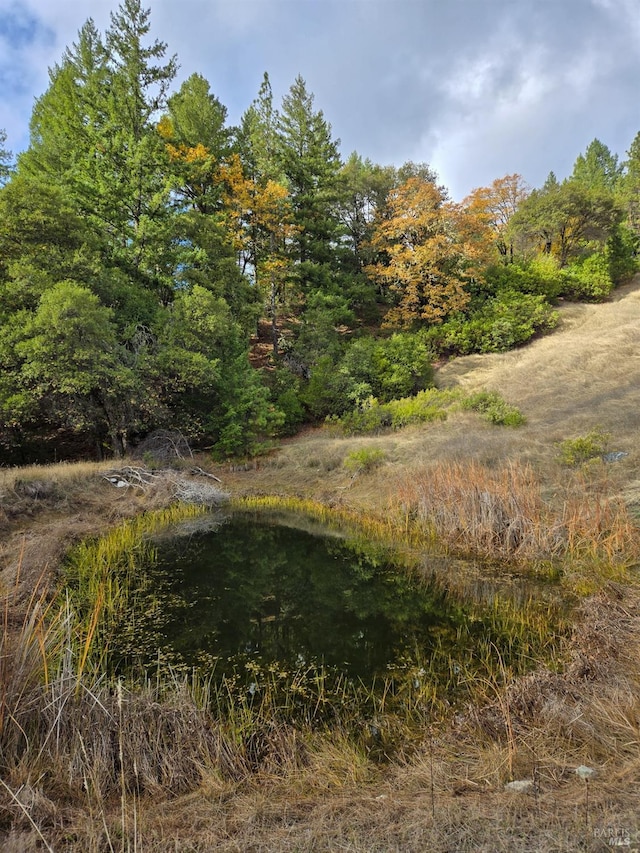 view of nature