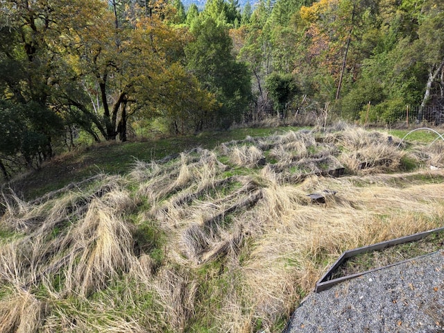 view of local wilderness with a view of trees