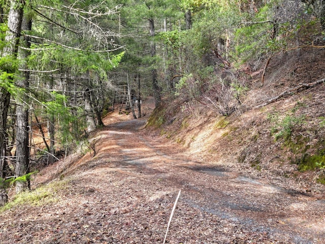 view of road with a forest view