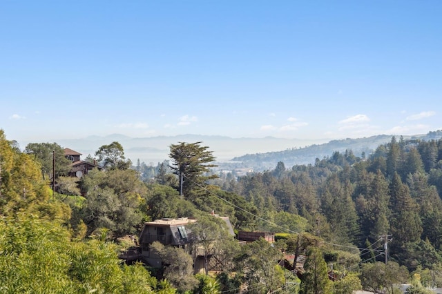 mountain view featuring a view of trees