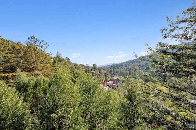 view of mountain feature featuring a forest view