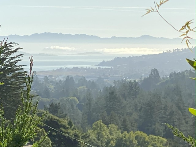 property view of mountains featuring a wooded view