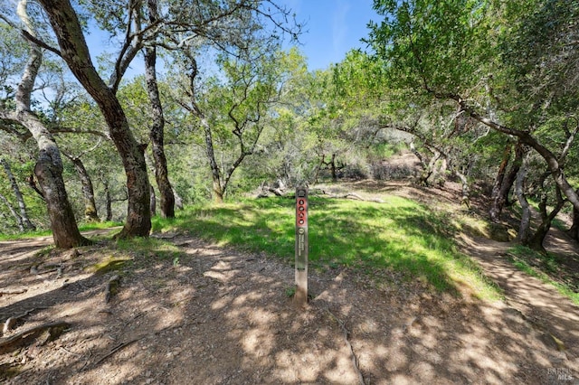 view of yard with a wooded view