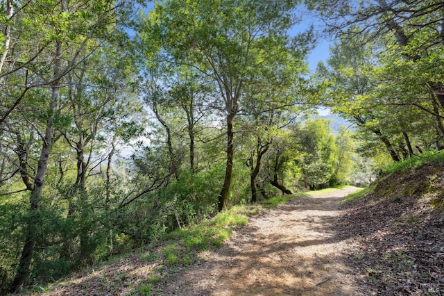 view of road with a forest view