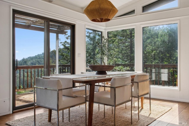 sunroom with a wealth of natural light