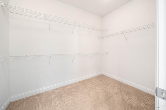 walk in closet with light carpet