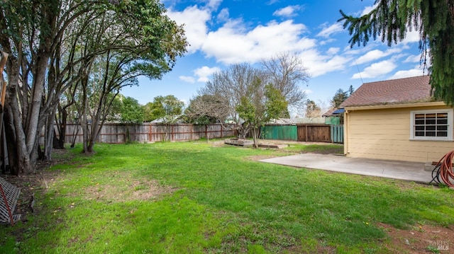 view of yard featuring a patio and a fenced backyard