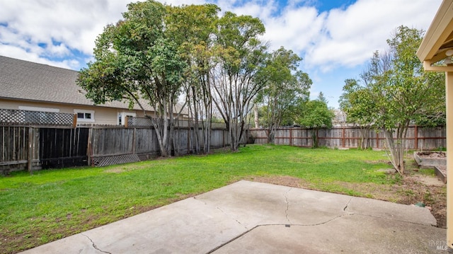 view of yard featuring a fenced backyard and a patio