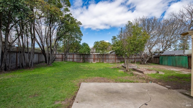 view of yard with a patio area and a fenced backyard