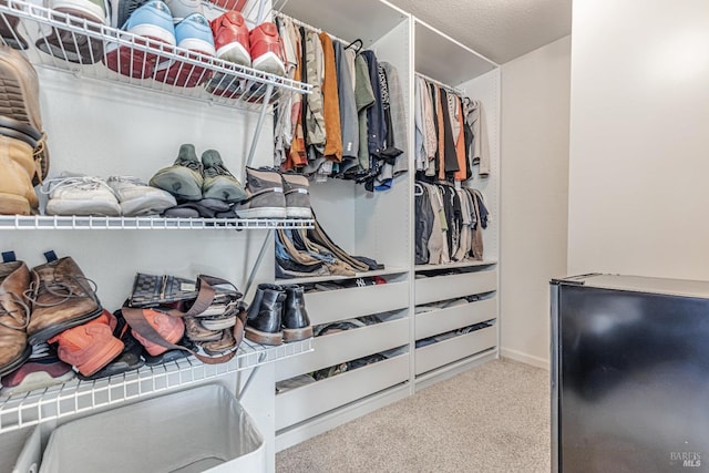 spacious closet featuring carpet flooring