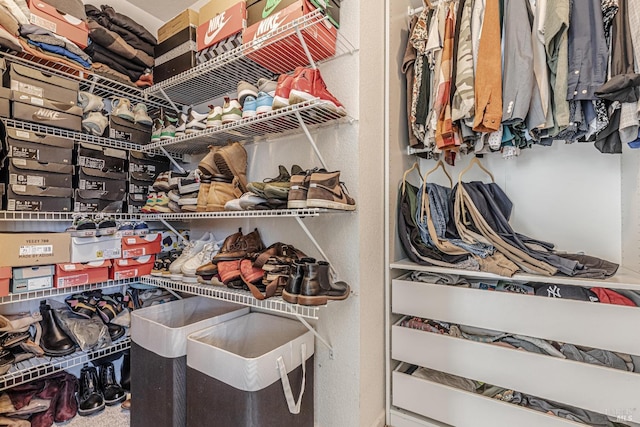 view of spacious closet