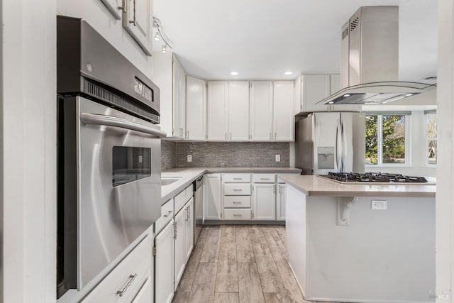 kitchen with stainless steel appliances, tasteful backsplash, light countertops, and island range hood