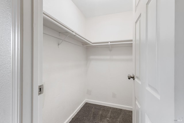 walk in closet featuring carpet floors