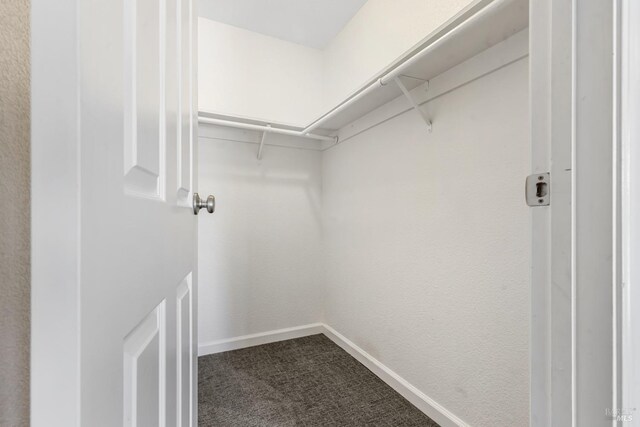 spacious closet featuring dark colored carpet