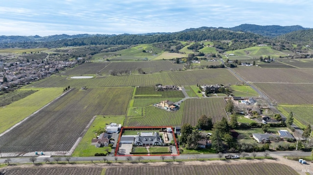 birds eye view of property with a rural view and a mountain view