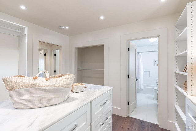 interior space featuring recessed lighting, vanity, a shower with shower curtain, and wood finished floors