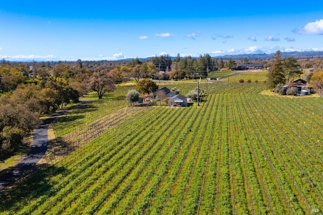 drone / aerial view with a rural view