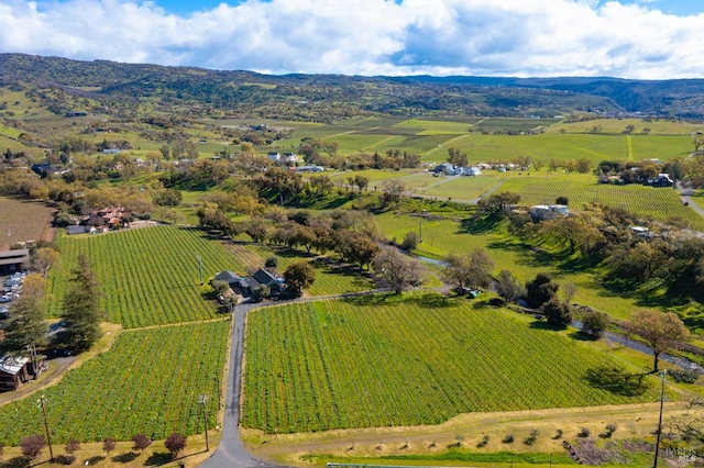 bird's eye view featuring a rural view and a mountain view