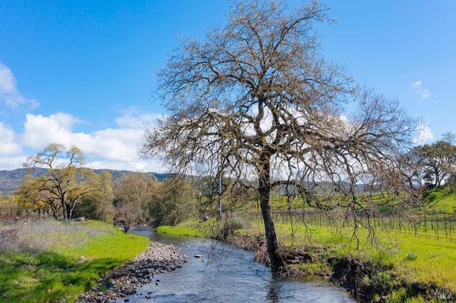 property view of water featuring a view of trees