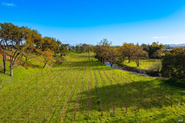 view of yard featuring a rural view