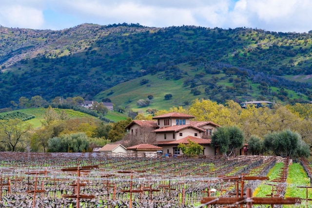 view of mountain feature featuring a rural view