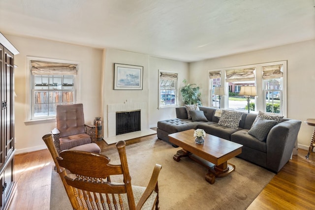 living room featuring baseboards, wood finished floors, and a fireplace