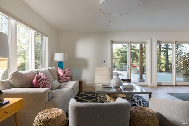 living room with a wealth of natural light