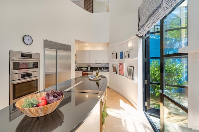 kitchen with dark countertops, appliances with stainless steel finishes, a wealth of natural light, and a towering ceiling