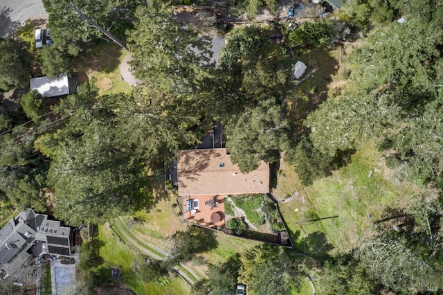 224 Arroyo Rd, Forest Knolls, CA 94933 - bird's eye view