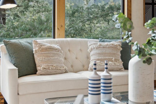 224 Arroyo Rd, Forest Knolls, CA 94933 - view of room details