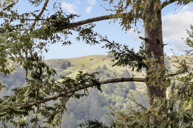 224 Arroyo Rd, Forest Knolls, CA 94933 - view of mountain feature