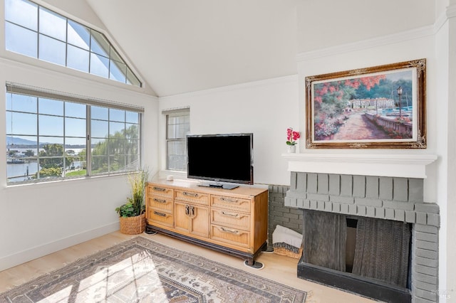 living room featuring a healthy amount of sunlight, light wood finished floors, and baseboards