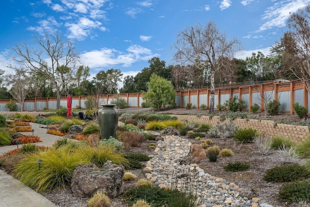 view of yard with a fenced backyard