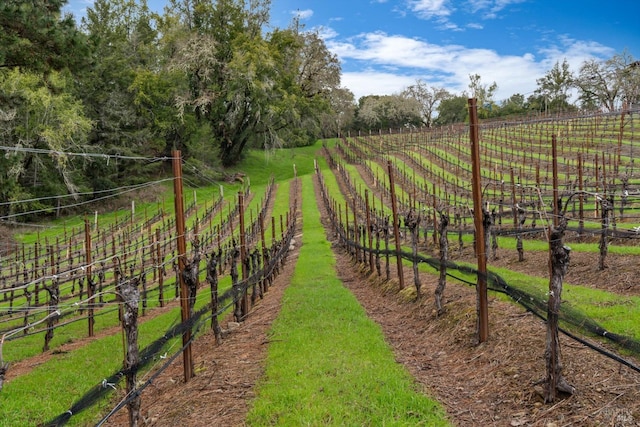 view of yard featuring fence and a rural view