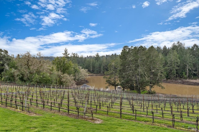 4630 Maddocks Rd, Sebastopol, CA 95472 - view of yard featuring a view of countryside and a wooded view